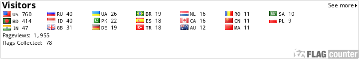 Flag Counter