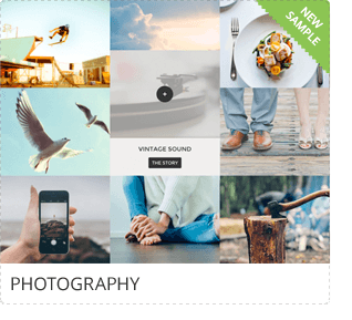 Go Portfolio - WordPress Responsive Portfolio - 14