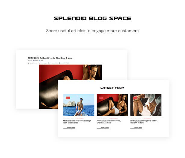 Splendid Blog Space