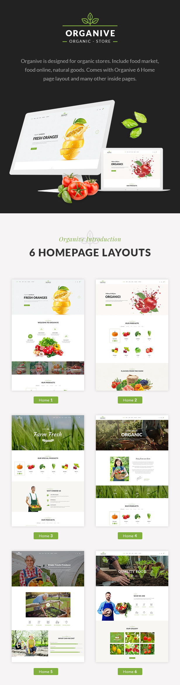 Organic Food, Organic Store,Farm Eco Food Products