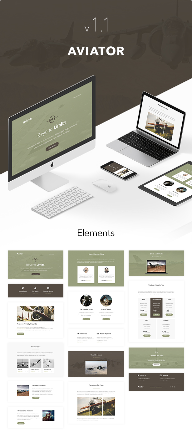 Aviator - Responsive Email + Themebuilder Access - 1