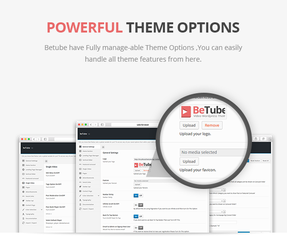 theme options