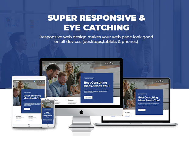 bizconsult responsive