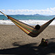 Holiday on a Summer Beach in a Hammock