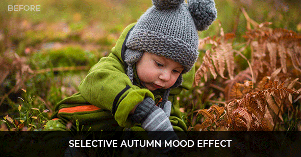 Selective-Autumn-Mood-Effect