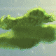 16393122_9.gif