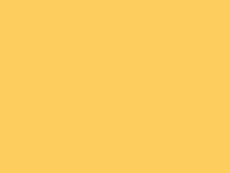Color Line Icons Pack - 4