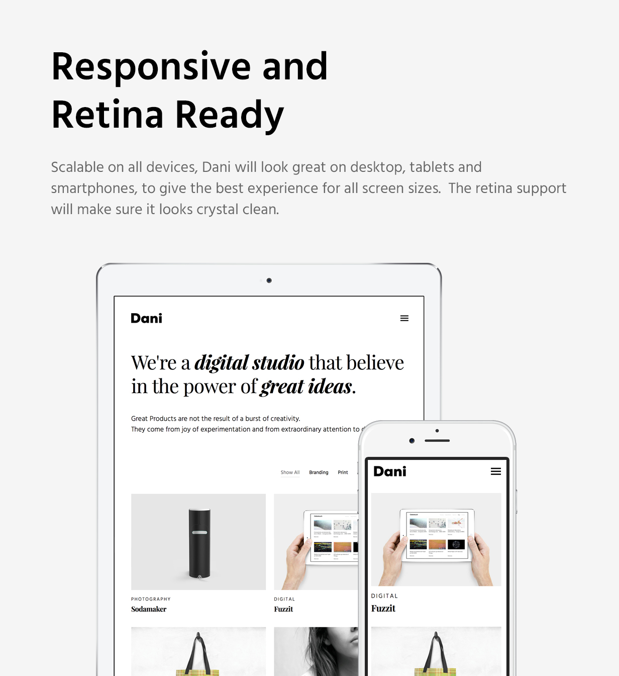 Dani - A Storming Portfolio & Blog template - 13