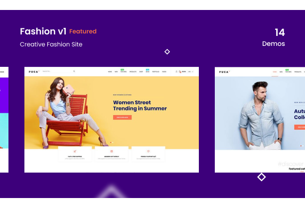 Woocommerce Themes