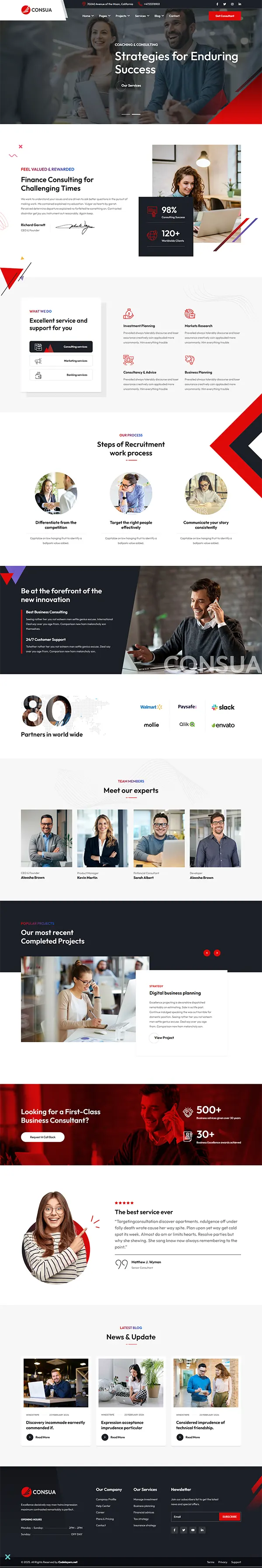 Consua joomla template