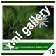 ADVANCED XML IMAGE GALLERY_v13