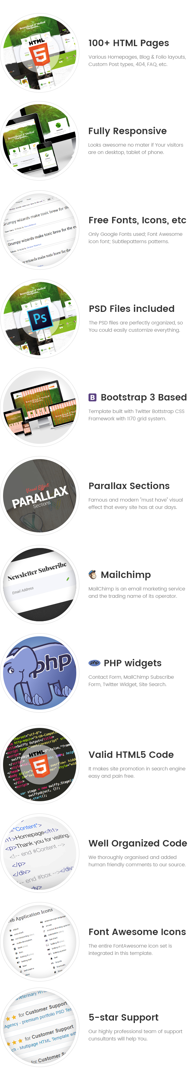 Canabro - Medical Marijuana Dispensary HTML Template