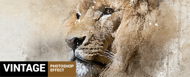 Sketch Generator - Draftum - Photoshop Plugin - 19