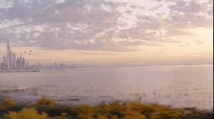 Montage Library - Most Useful Effects - 29