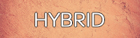 hybrid