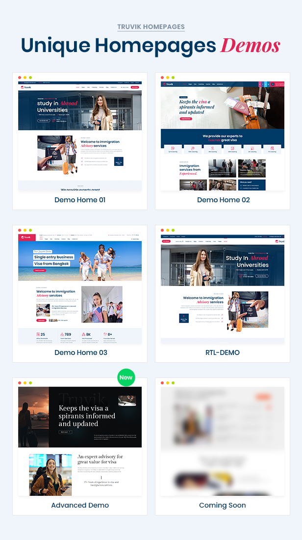 Visa Immigration & Consultation WP Theme