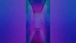 Video Library - Video Presets Package - 77