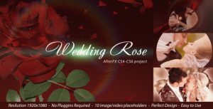 wedding rose small