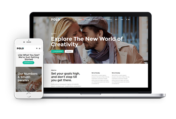 A Powerful WORDPRESS Multipurpose THEME Polo