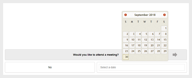 WordPress Questionnaire Date Answer