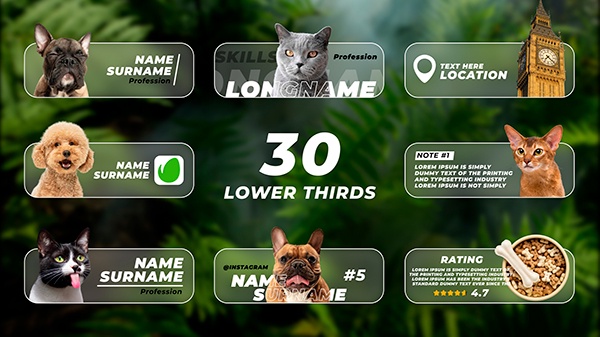 TT06 | Lower Thirds with Photo or Video