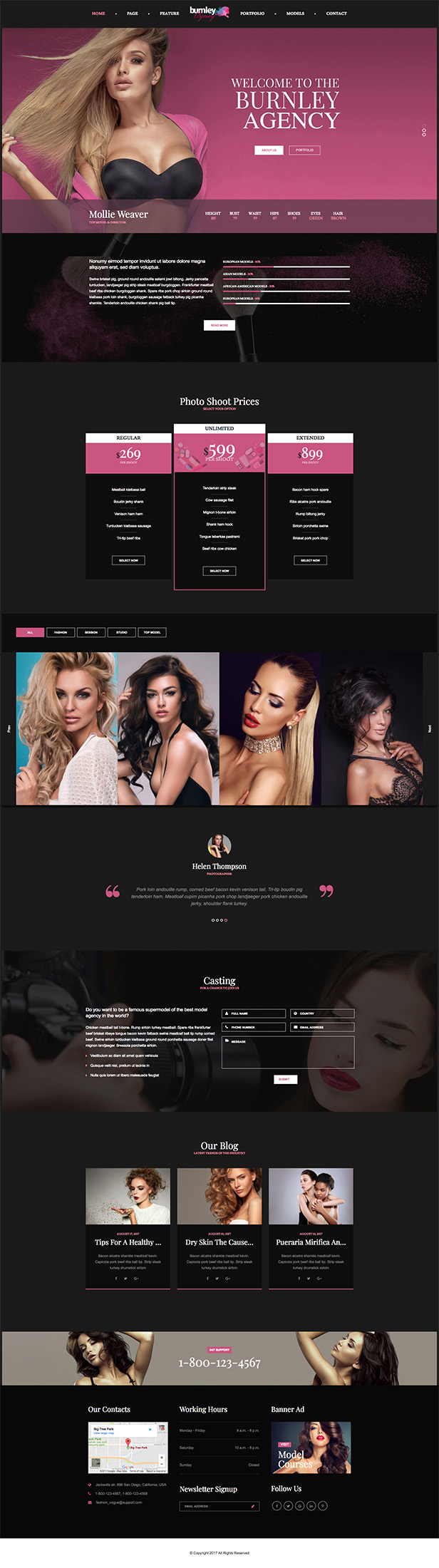 Vogue - Modelling Agency and Portfolio WordPress Theme with Builder and Dashboard 