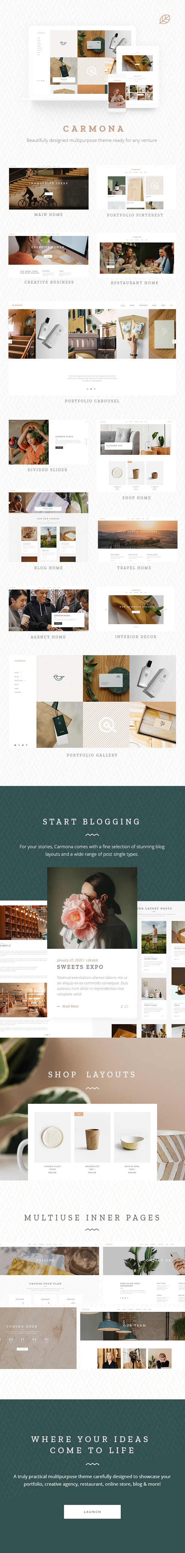 Carmona - Creative Multipurpose Theme - 2