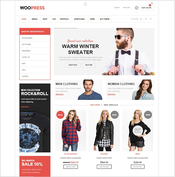 best wordpress theme