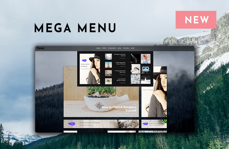 Woocommerce Themes