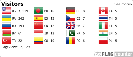 Flag Counter