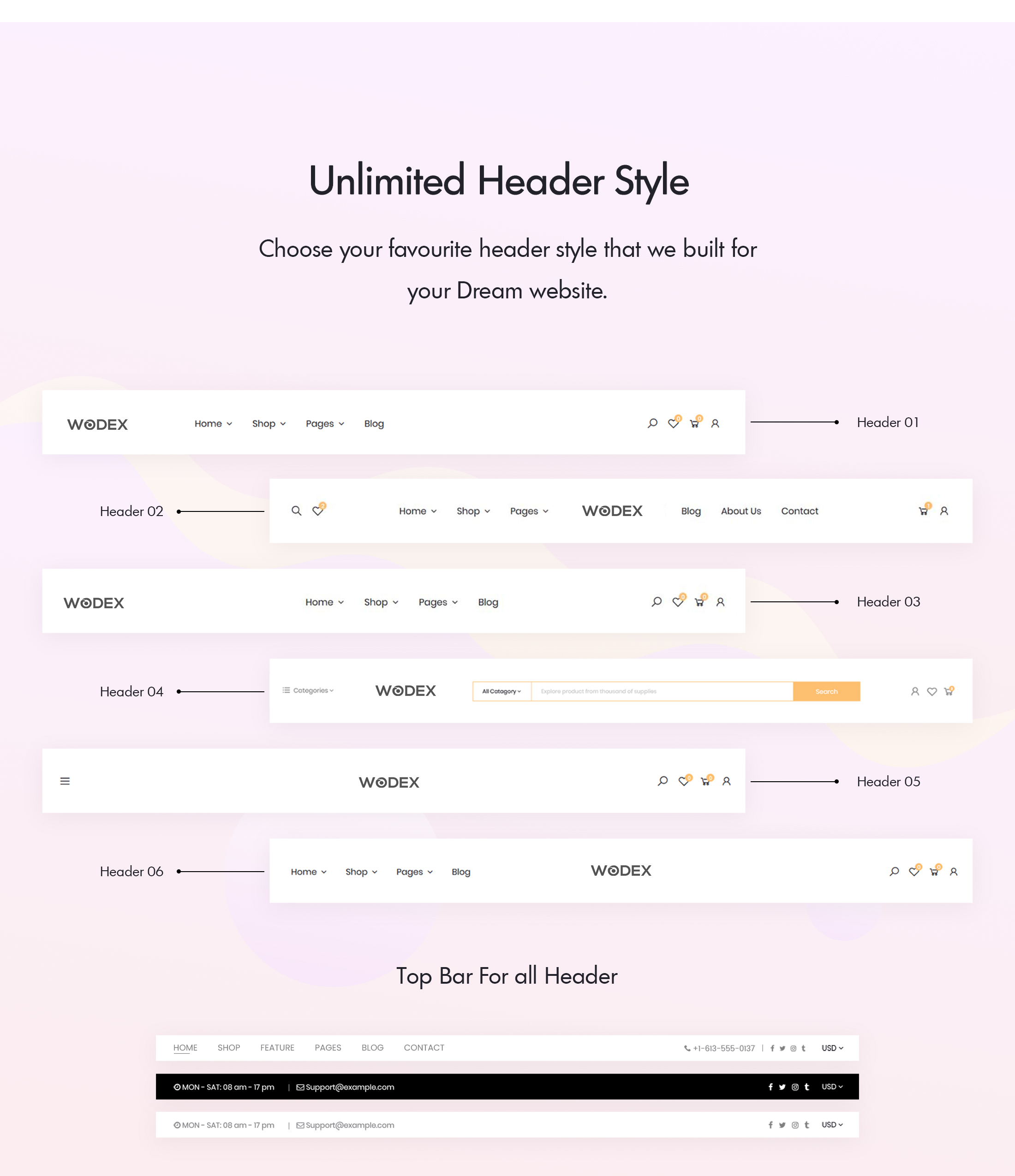 woocommerce theme header variation