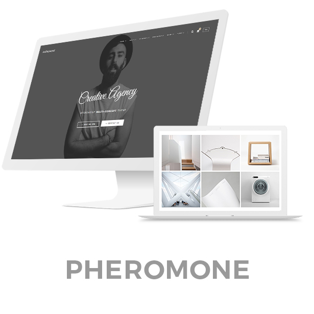 Pheromone - Creative Multi-Concept WordPress Theme - 1