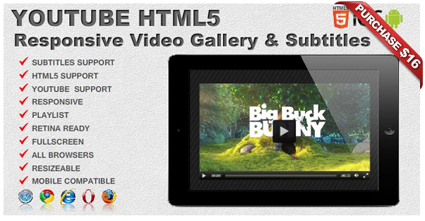 Ultra Video Gallery with Youtube, Vimeo, HTML5, Ads - 11