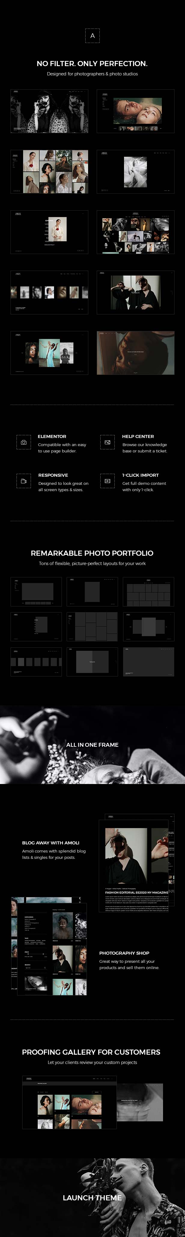 Amoli - Fashion Photography WordPress Theme - 2