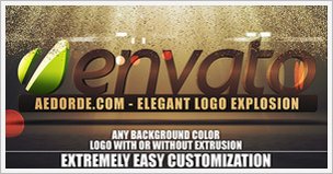 Elegant Logo Explosion