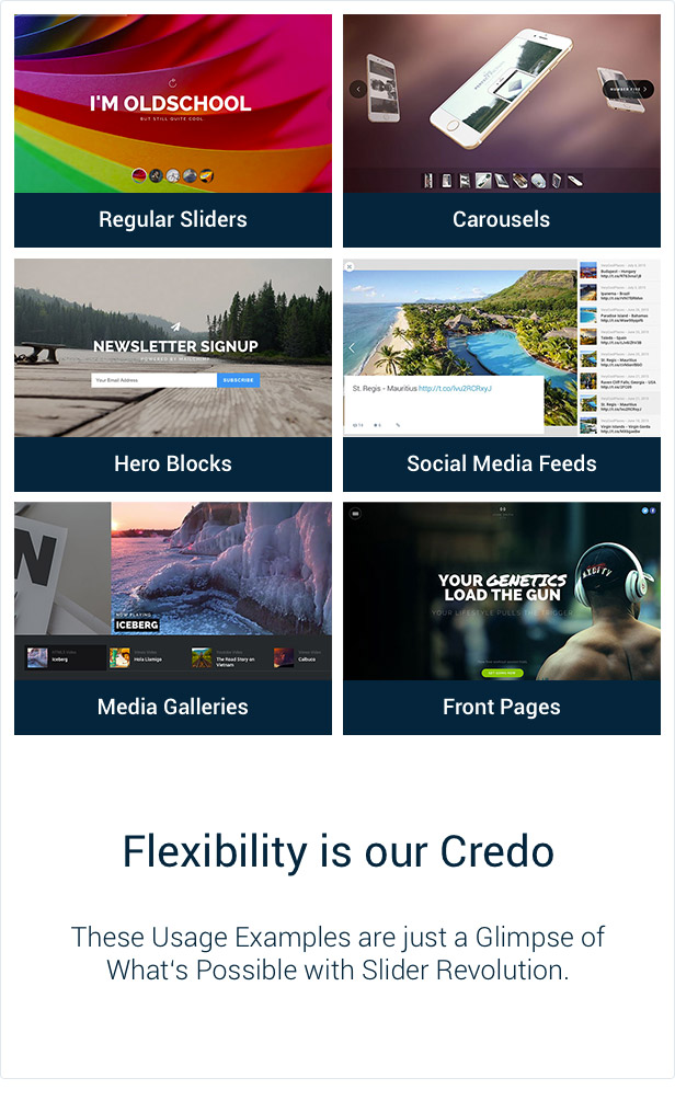 Slider Revolution jQuery Visual Editor Addon - PHP Script Download 10 Slider Revolution Flexibility
