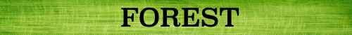fore