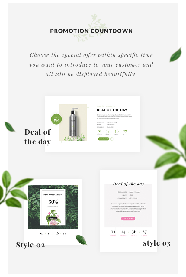 Organic Store WordPress theme - Promotion Countdown