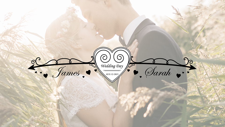 25 Wedding Titles - Clean and Elegant - 7