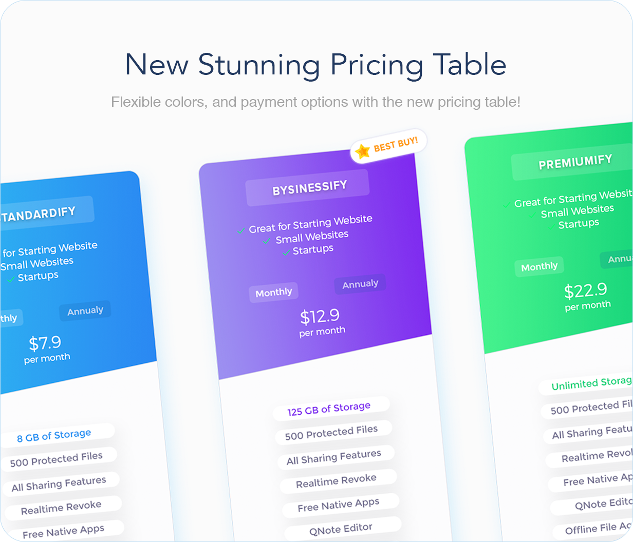 Hostify — Hosting HTML & WHMCS Template - 10