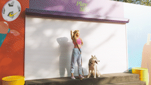 Paper Transitions | Big Pack - 38