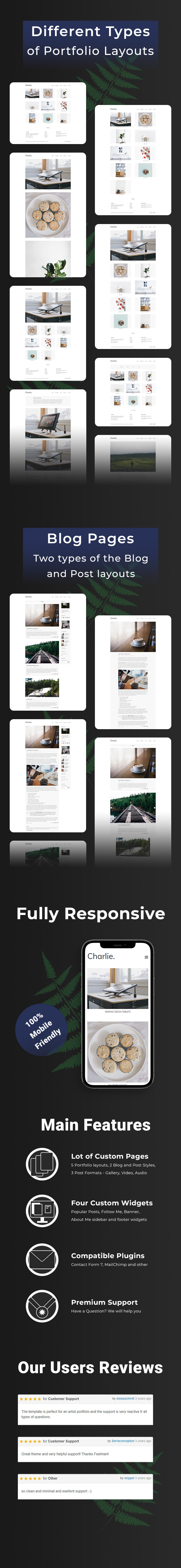 Different types of the Portfolio layouts