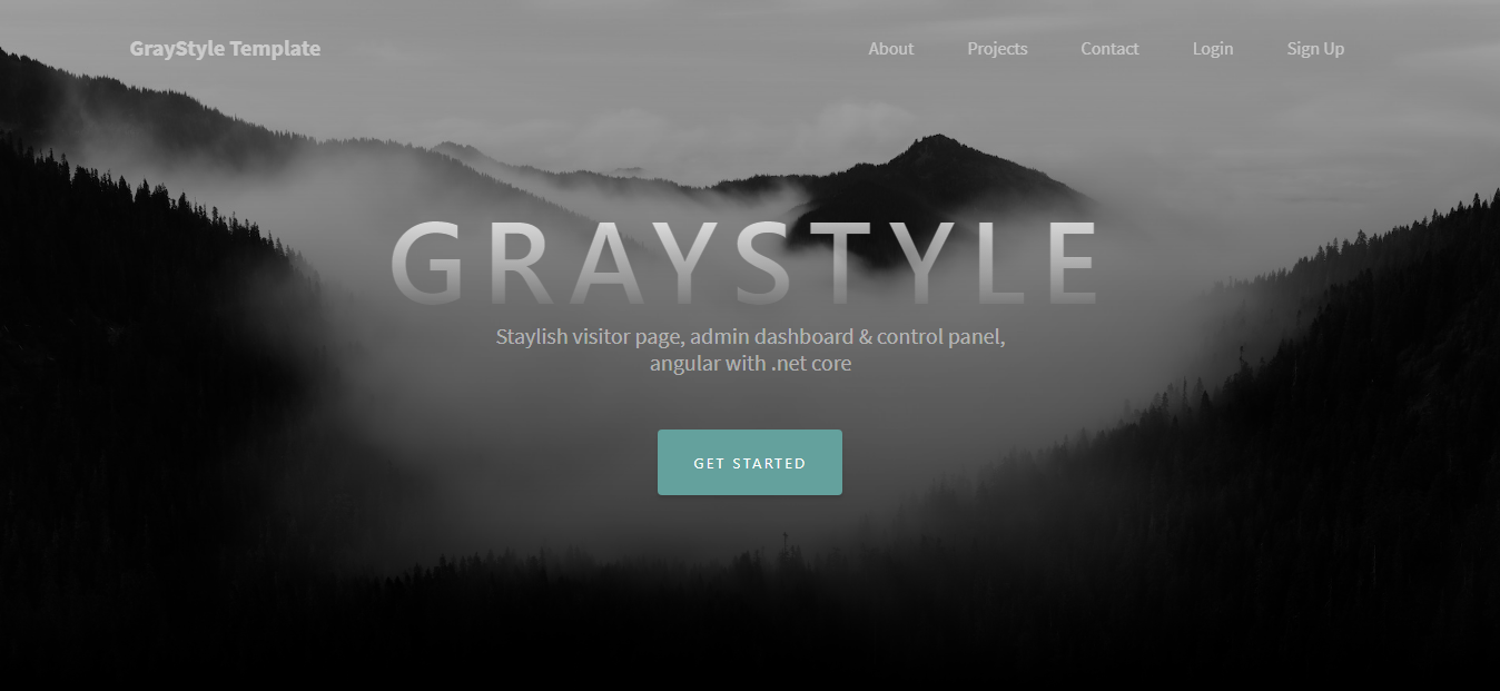 GraystyleST - Angular 10 & Above / .Net Core / Startup Template, Admin Panel & Stylish Home - 1