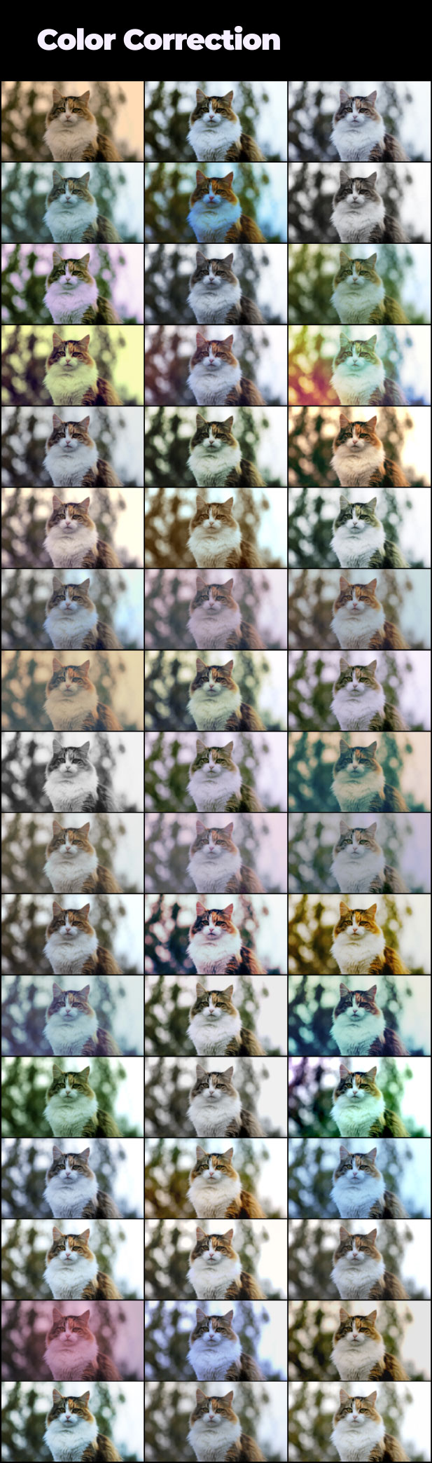 Pacote After Effects tudo em um