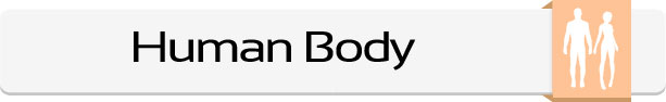 Human-Body-Main