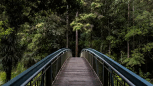 Real transitions - 13
