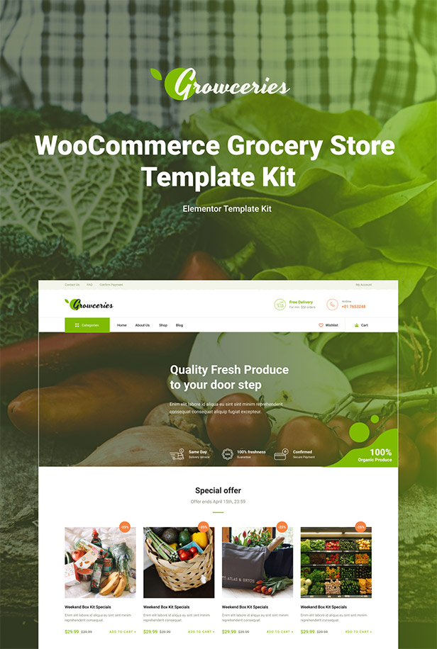 Grocery store WooCommerce Elementor template kit