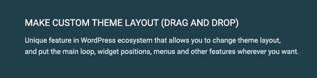 Theme Options Layout