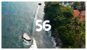 Brush Transitions - 56