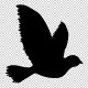 light-r-won - Bird Flying Super Pack